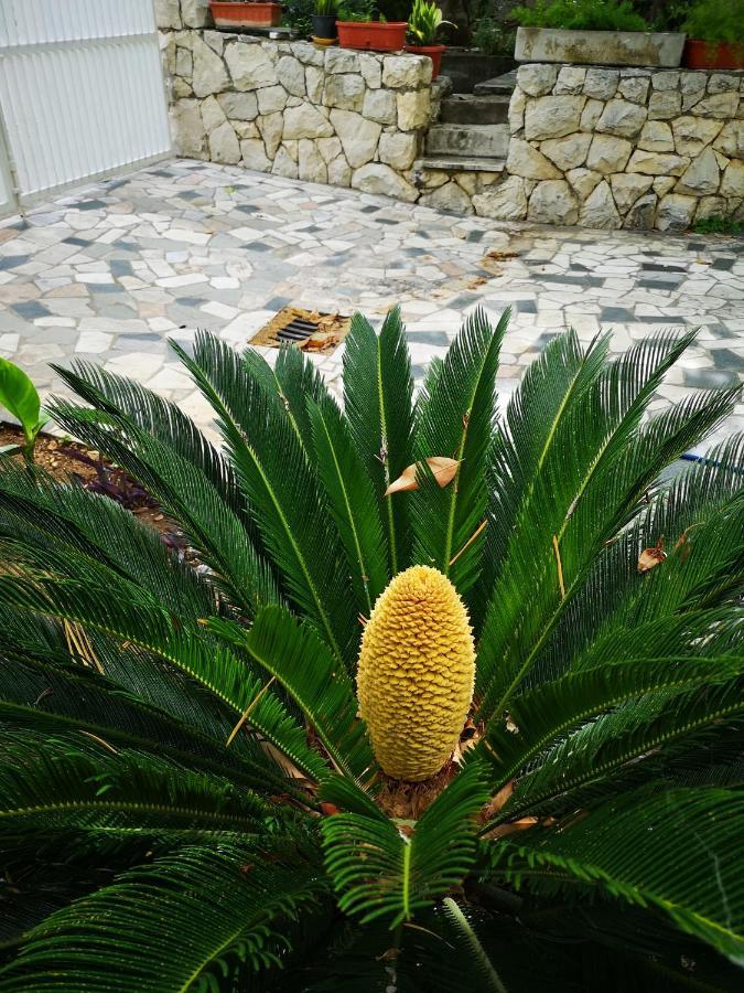 Meje Apartments Split Luaran gambar